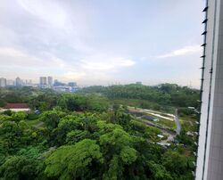 Normanton Park (D5), Apartment #463476241